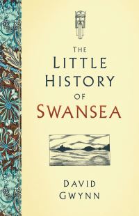 Book Cover for The Little History of Swansea by D R Gwynn