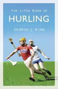 Book Cover for The Little Book of Hurling by Séamus J King