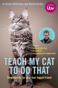 Book Cover for Teach My Cat to Do That by JoRosie Haffenden, Nando Brown