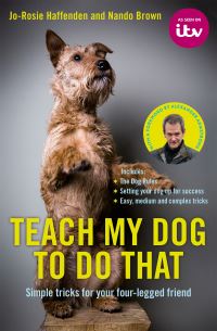 Book Cover for Teach My Dog to Do That by JoRosie Haffenden, Nando Brown