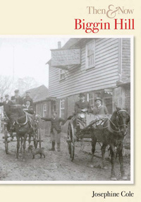 Book Cover for Biggin Hill by Josephine Cole