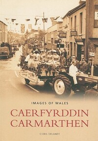 Book Cover for Caerfyrddin by Chris Delaney