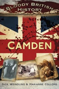 Book Cover for Camden by Dick Weindling, Marianne Colloms