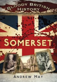 Book Cover for Somerset by Andrew May