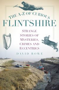 Book Cover for The A-Z of Curious Flintshire by David Rowe