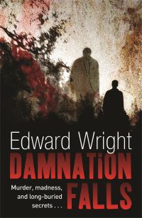 Book Cover for Damnation Falls by Edward Wright