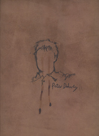 Book Cover for The Books of Albion by Pete Doherty
