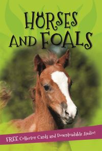 Book Cover for It's All About... Horses and Foals by Sarah Snashall