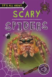 Book Cover for Scary Spiders by Claire Llewellyn