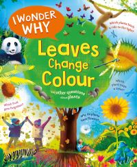 Book Cover for I Wonder Why Leaves Change Colour by Andy Charman