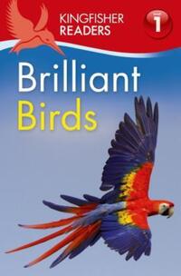 Book Cover for Kingfisher Readers L1 by Sean Callery, Rebecca Robinson