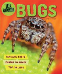 Book Cover for In Focus by Kingfisher