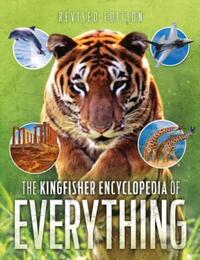 Book Cover for Kingfisher Encyclopedia of Everything by Sean Callery, Clive Gifford, Dr Mike Goldsmith