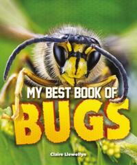 Book Cover for My Best Book of Bugs by Claire Llewellyn