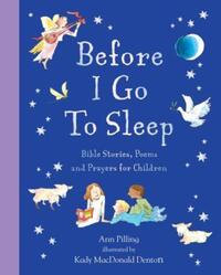 Book Cover for Before I Go to Sleep by Ann Pilling