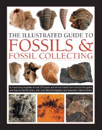 Book Cover for The Illustrated Guide to Fossils & Fossil Collecting by Steve Parker