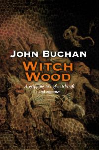 Book Cover for Witch Wood by John Buchan