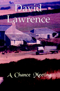 Book Cover for A Chance Meeting by David Lawrence