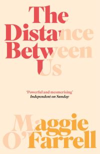 Book Cover for The Distance Between Us by Maggie OFarrell