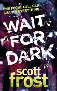 Book Cover for Wait for Dark by Scott Frost