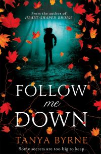 Book Cover for Follow Me Down by Tanya Byrne