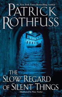 Book Cover for The Slow Regard of Silent Things by Patrick Rothfuss