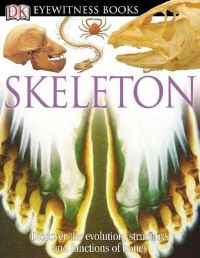 Book Cover for Skeleton by Steve Parker
