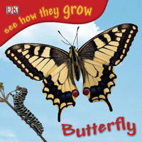 Book Cover for Butterfly by DK Publishing