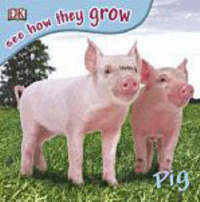 Book Cover for Pig by Bill Ling, Mary Ling