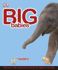 Book Cover for Big Babies, Little Babies by Lorrie Mack, Penny Smith