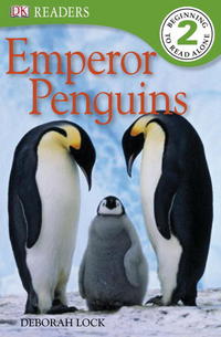 Book Cover for DK Readers L2 by Deborah Lock
