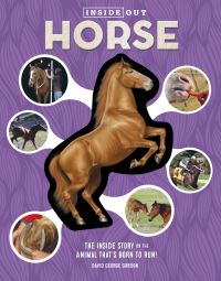 Book Cover for Horse by David G Gordon