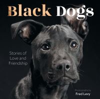 Book Cover for Black Dogs by Fred Levy