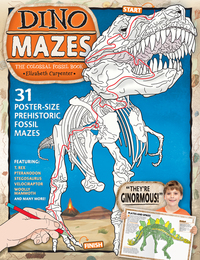 Book Cover for Dinomazes by Elizabeth Carpenter
