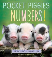 Book Cover for Numbers by 