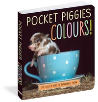 Book Cover for Colours! by Richard Austin
