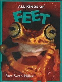 Book Cover for Feet by Sara Swan Miller