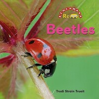Book Cover for Beetles by Trudi Strain Trueit