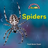 Book Cover for Spiders by Trudi Strain Trueit