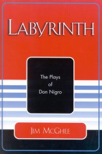 Book Cover for Labyrinth by Jim McGhee