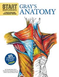 Book Cover for Start Exploring: Gray's Anatomy by Freddy Stark