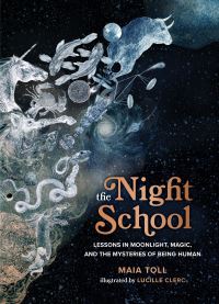 Book Cover for The Night School by Maia Toll
