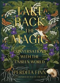 Book Cover for Take Back the Magic by Perdita Finn