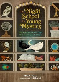 Book Cover for The Night School for Young Mystics by Maia Toll