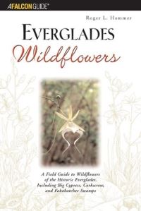 Book Cover for Exploring Big South Fork National River and Recreation Area by Todd S Campbell, Kym Rouse Campbell