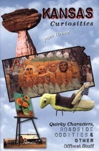 Book Cover for Georgia Curiosities by William Schemmel