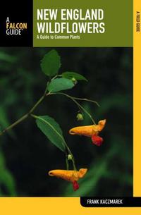 Book Cover for New England Wildflowers by Frank S Kaczmarek