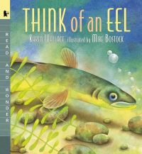 Book Cover for Think of an Eel by Karen Wallace