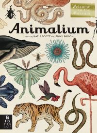 Book Cover for Animalium by Jenny Broom