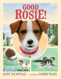 Book Cover for Good Rosie! by Kate DiCamillo